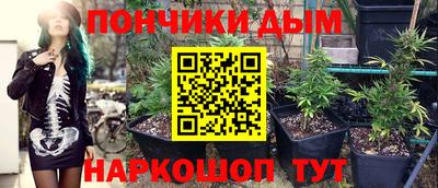 PSILOCYBIN Гатчина