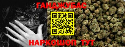 PSILOCYBIN Гатчина