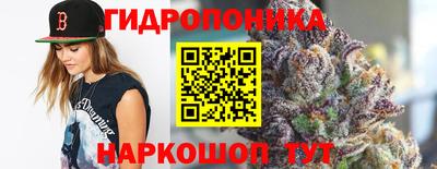 PSILOCYBIN Гатчина