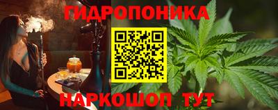 PSILOCYBIN Гатчина