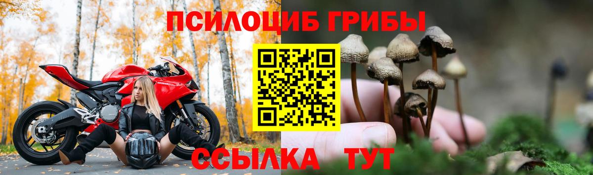 Галлюциногенные грибы Cubensis Мытищи
